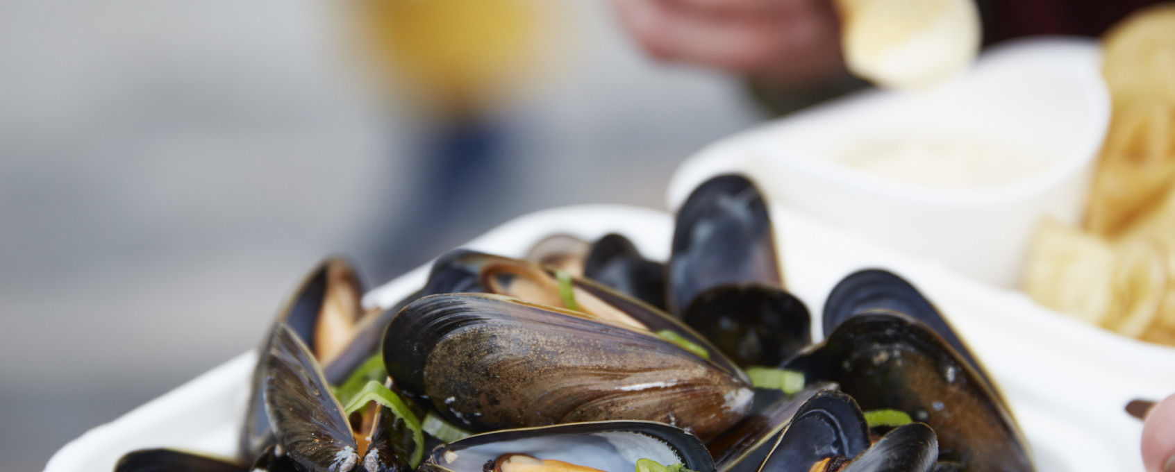 Sinisimpukoita oluessa