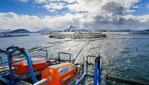 Fish cage in the sea