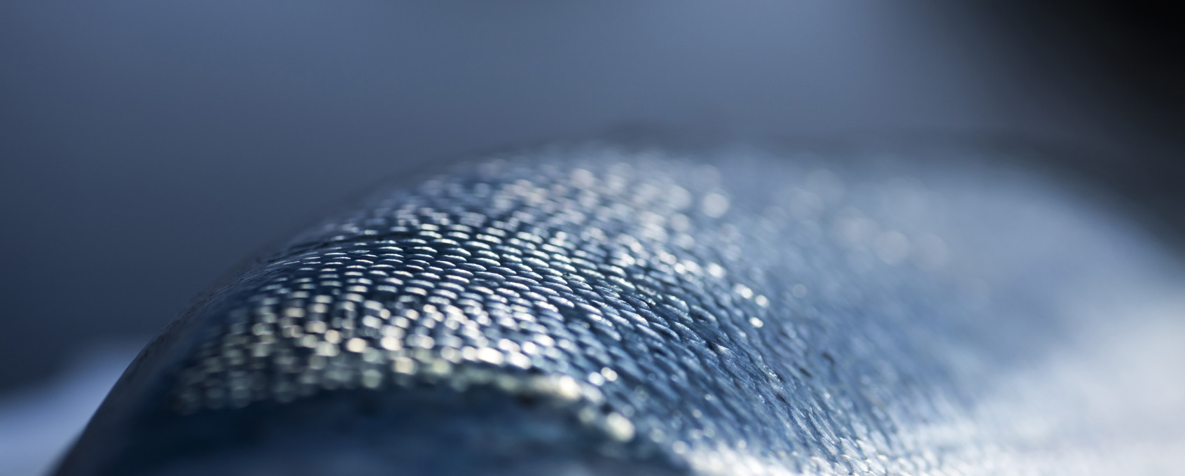 A salmon with focus on its skin