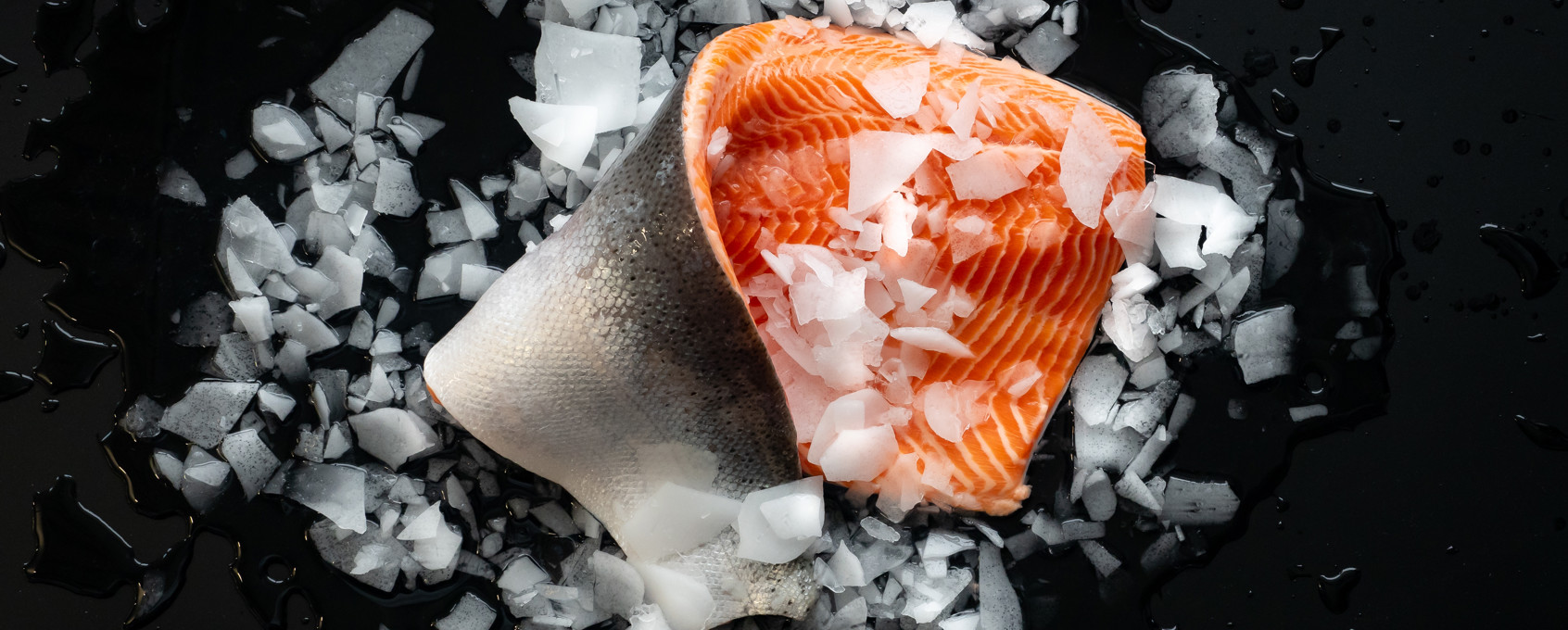 Trout with ice on black background