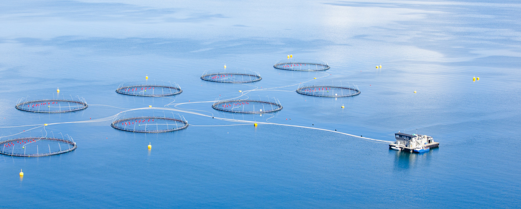 Skorpo havbrukslokalitet fra oven