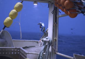 Skreifiske i Berlevåg