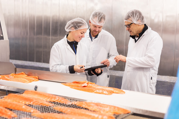 Three employees in a factory with salmon fillets