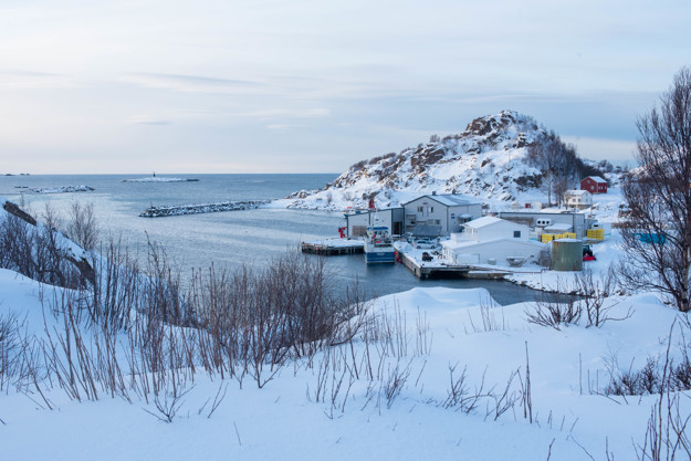 Et snødekket landskap med et lite fjell, et fiskemottak, en molo. 