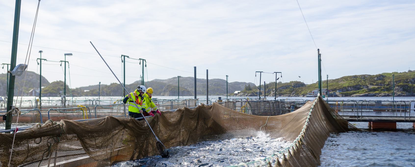 Employees by the fish cages