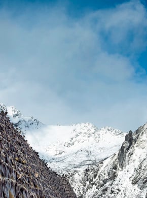 Tørrfisk med snødekte fjell i bakgrunnen