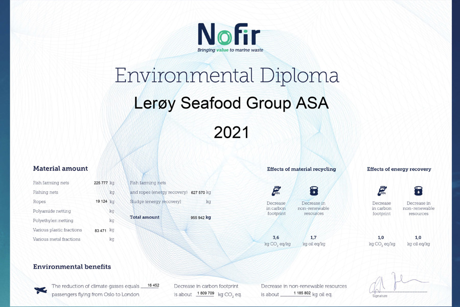 Nofir diploma