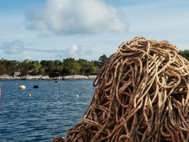 Rope in a pile, the ocean in the background. 