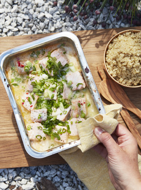 Ørret med kokosmelk, lime og chili