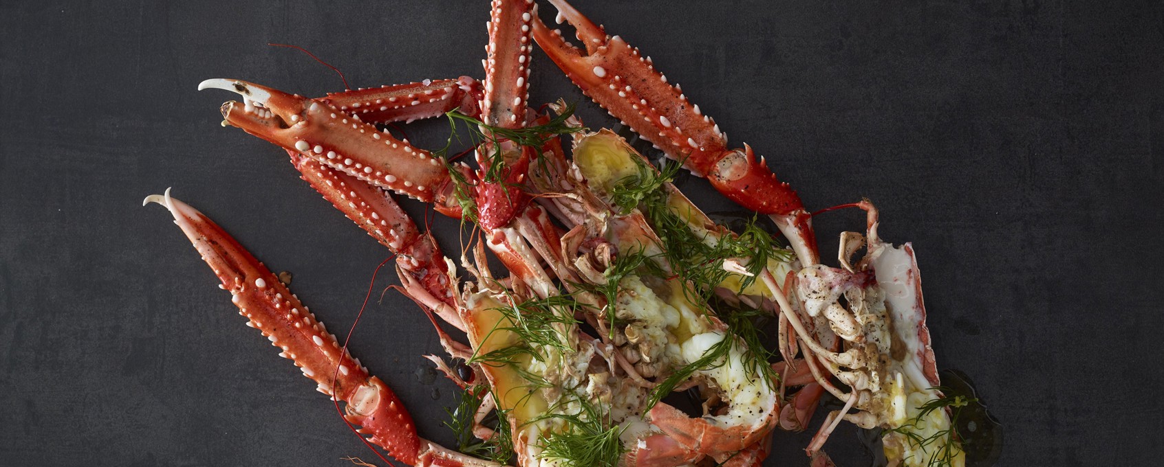 Norwegian Langoustine